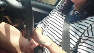 ���िएर सार्वजनिक कार ड्राइव संग खेल जबकि मेरो सानो बिल्ली