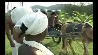 Како Неграс да сензала